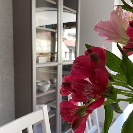 カッシーナ・デ・ペッキCasa Cassinaアパートメント エクステリア 写真