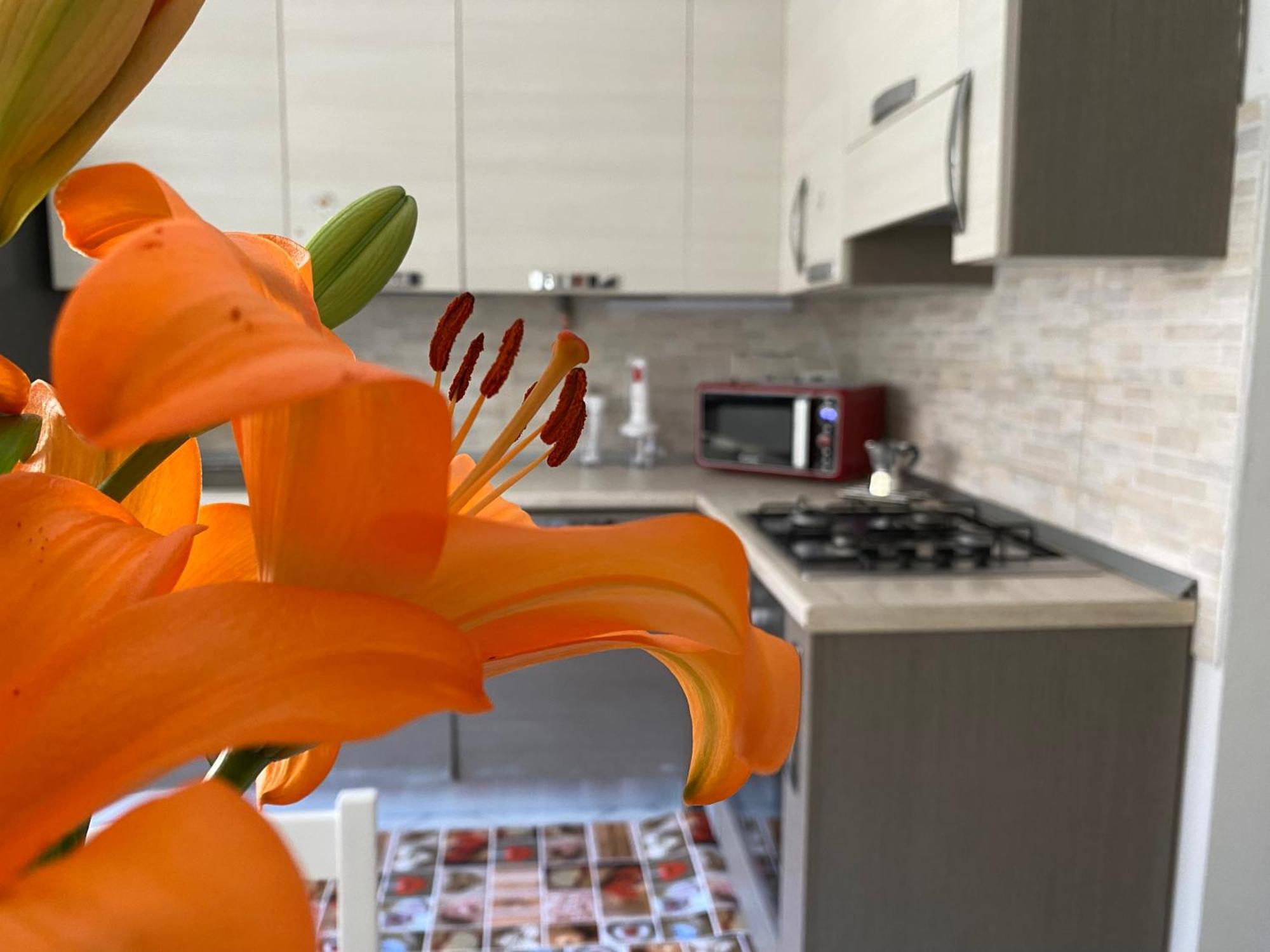 カッシーナ・デ・ペッキCasa Cassinaアパートメント エクステリア 写真